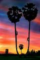 876 - SUNSET - NGUYEN TUONG DUY - viet nam